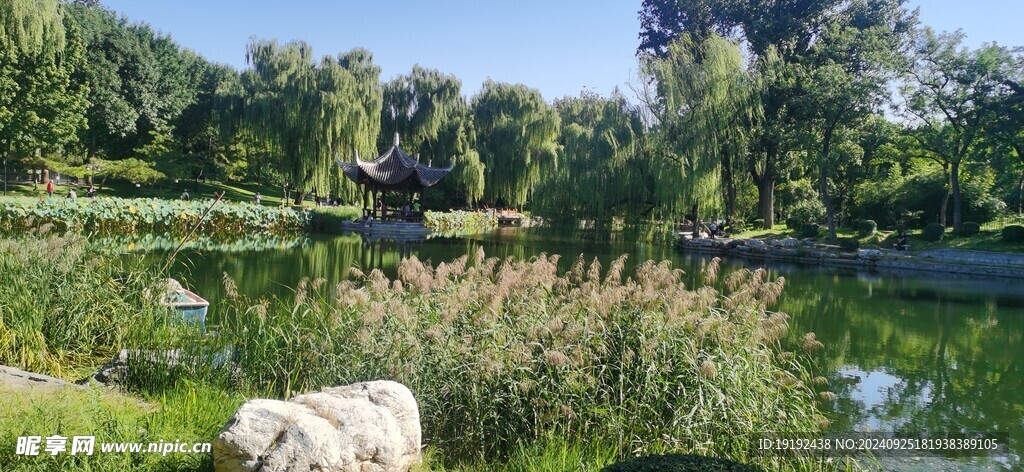 公园风景 