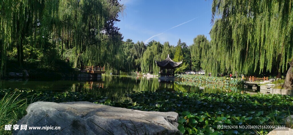 公园风景 