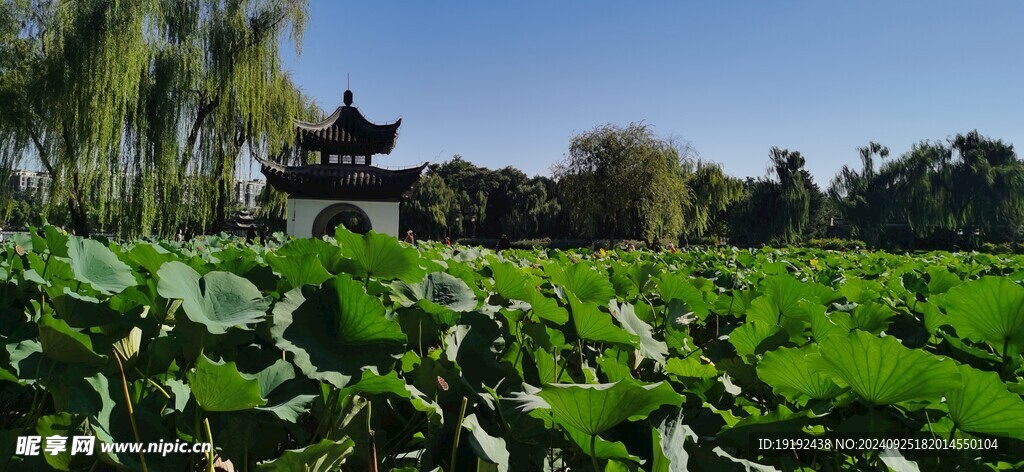公园风景 
