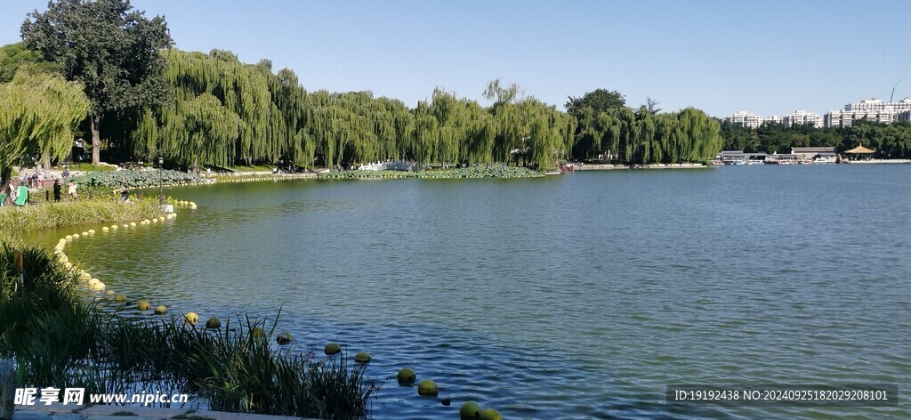 公园风景 