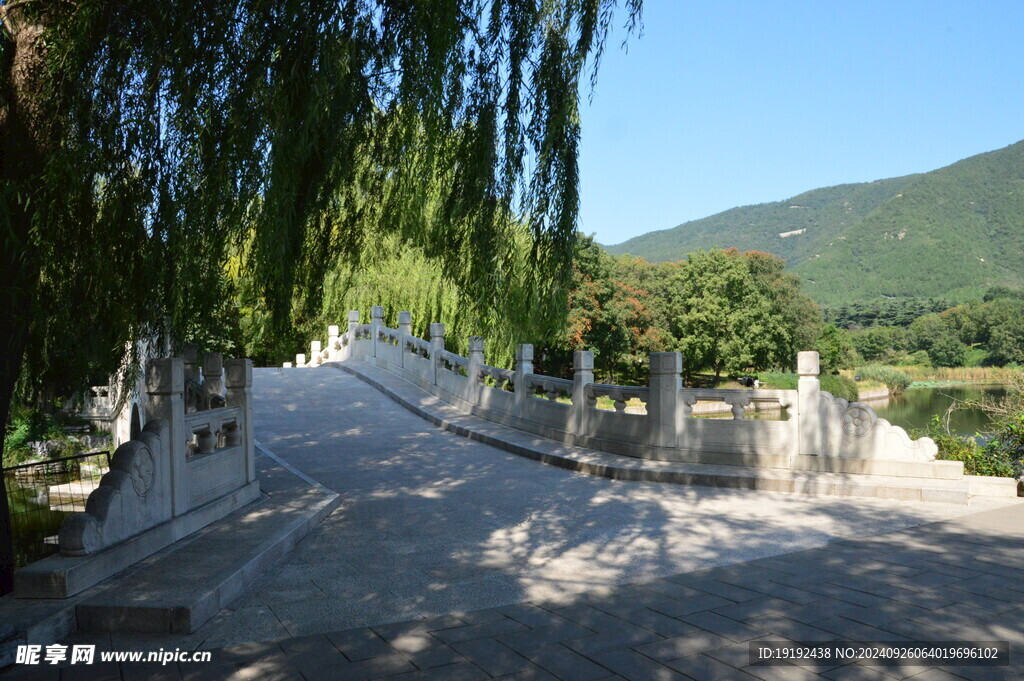 植物园风景 