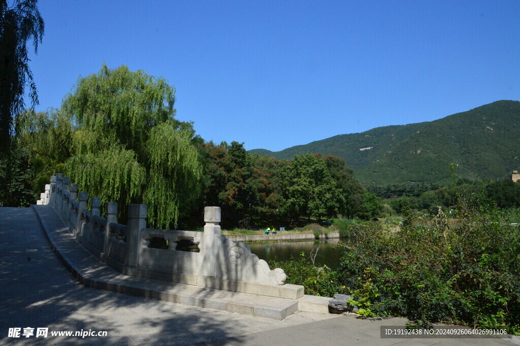 植物园风景 