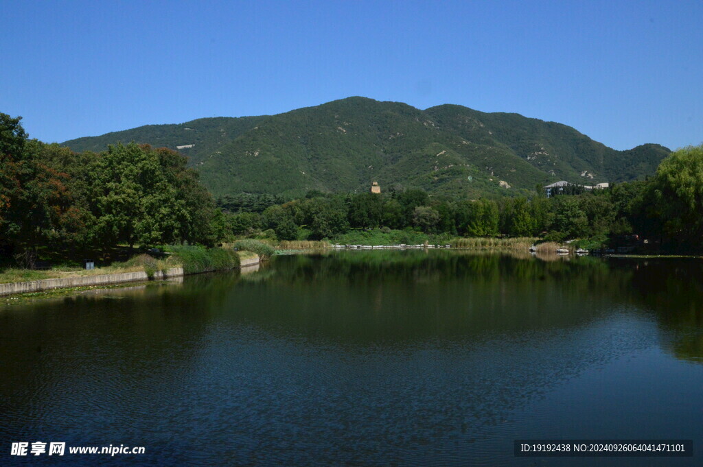 公园风景 