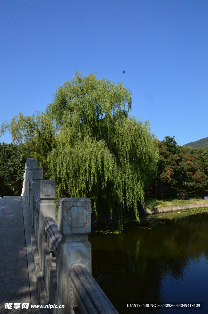 公园风景  