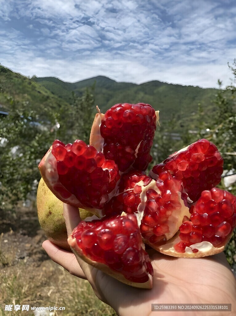 石榴