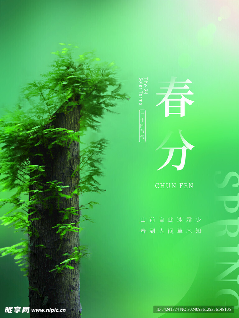 春分节气宣传海报展板