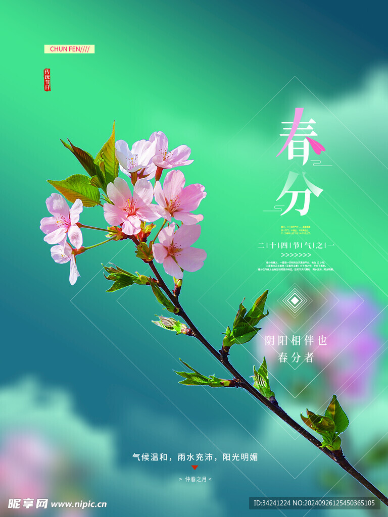 春分节气宣传海报展板