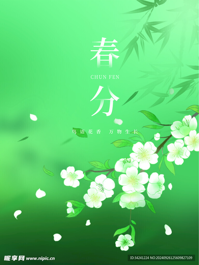 春分节气宣传海报展板