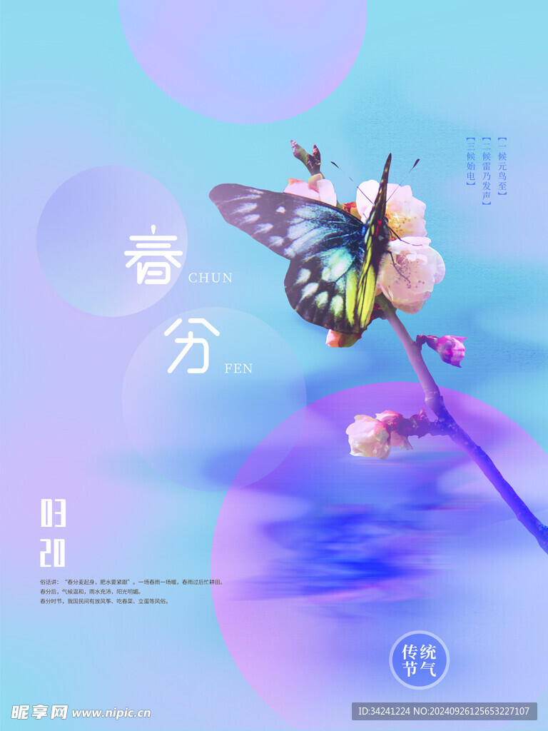 春分节气宣传海报展板