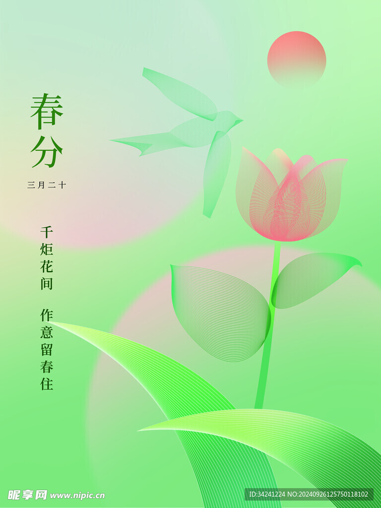 春分节气宣传海报展板