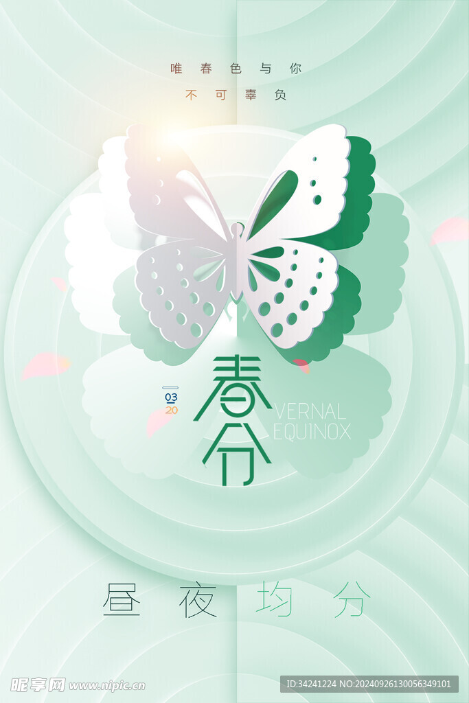 春分节气宣传海报展板