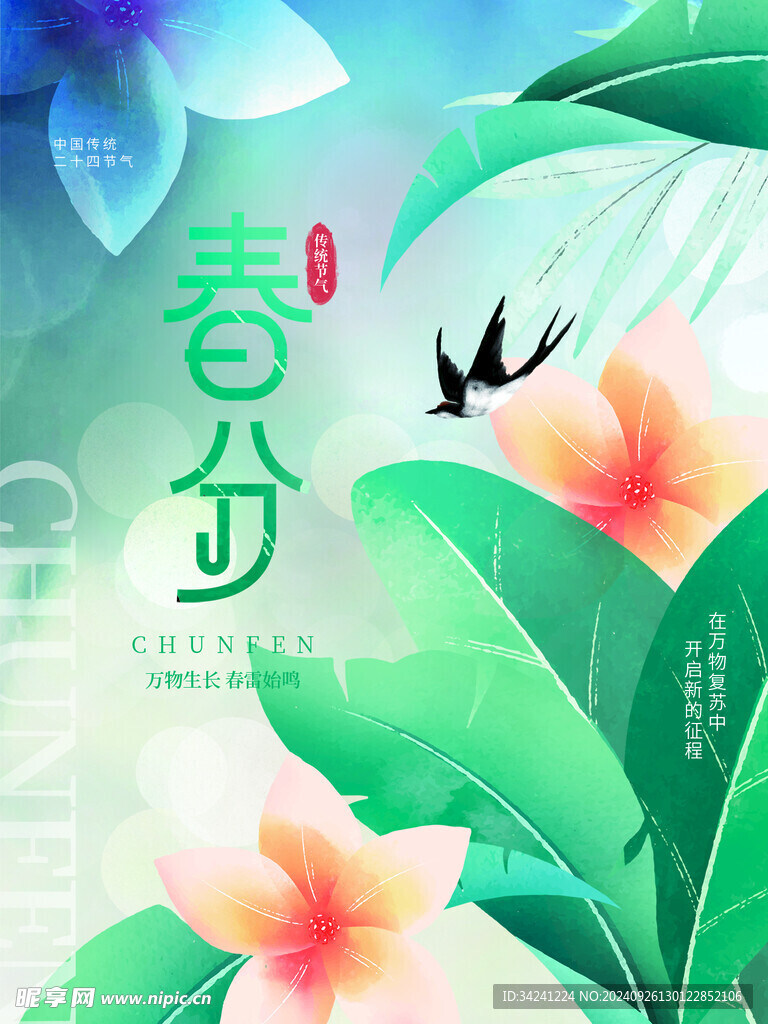 春分节气宣传海报展板