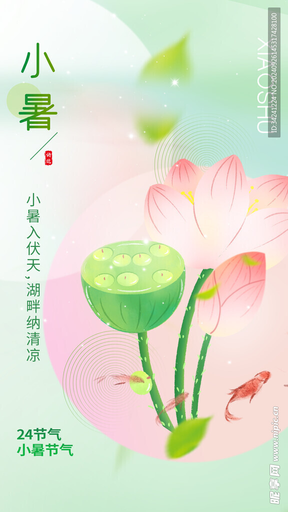 小暑节气宣传海报展板