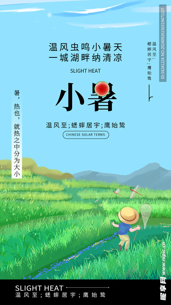 小暑节气宣传海报展板