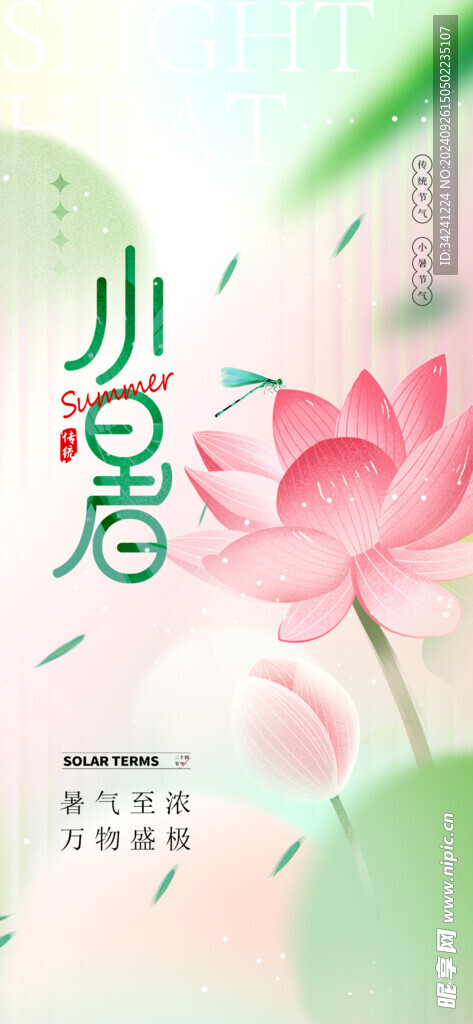 小暑节气宣传海报展板