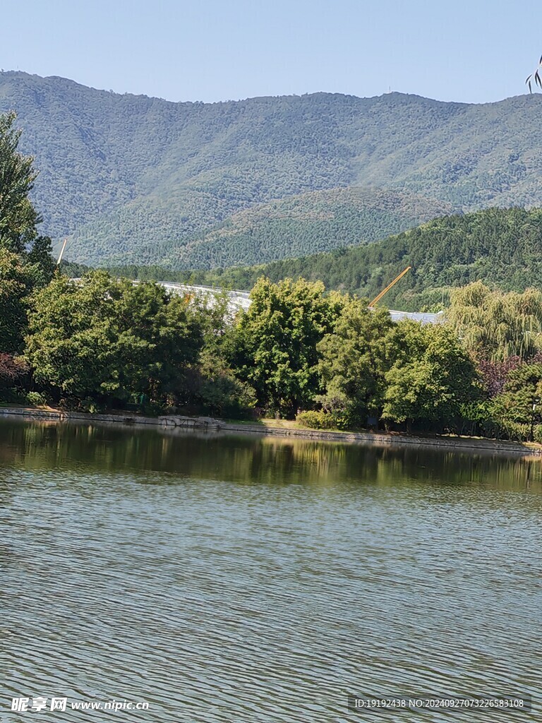 公园风景  