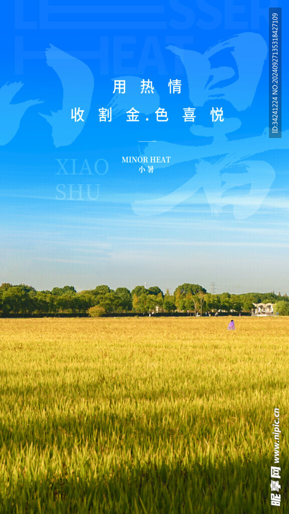 小暑节气宣传海报展板