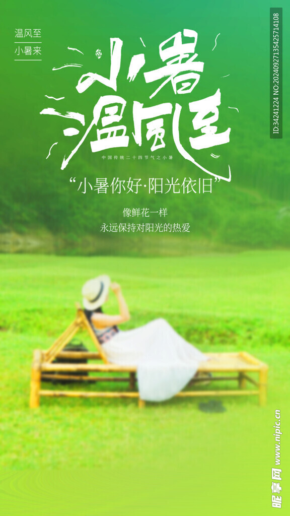 小暑节气宣传海报展板