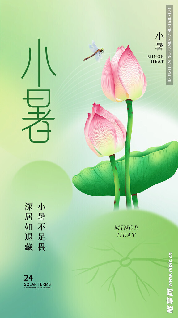 小暑节气宣传海报展板