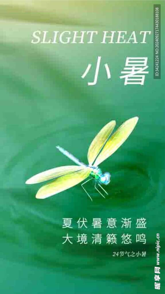 小暑节气宣传海报展板