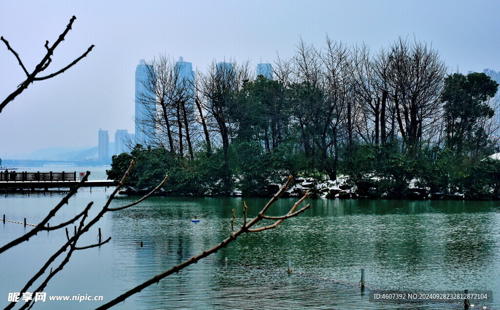 梅溪湖公园雪景