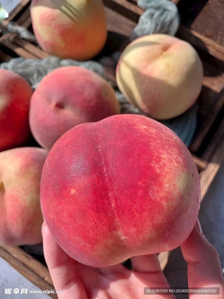 水蜜桃