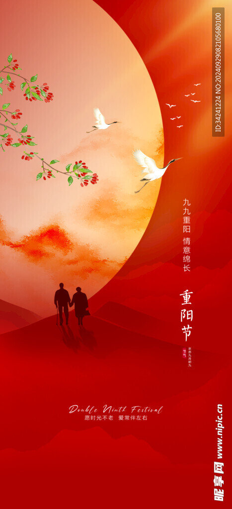 重阳节气宣传海报展板