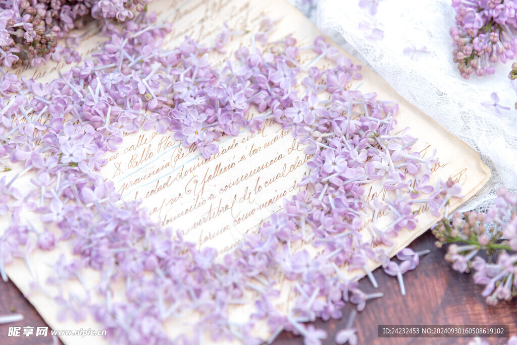 丁香花素材壁纸