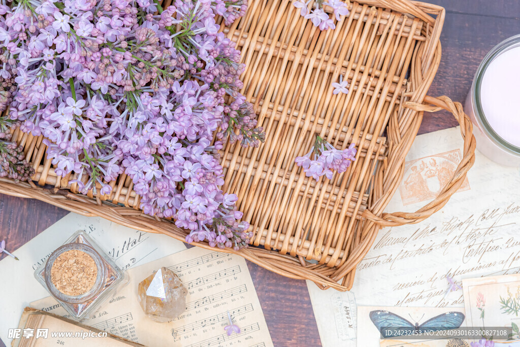 丁香花素材壁纸