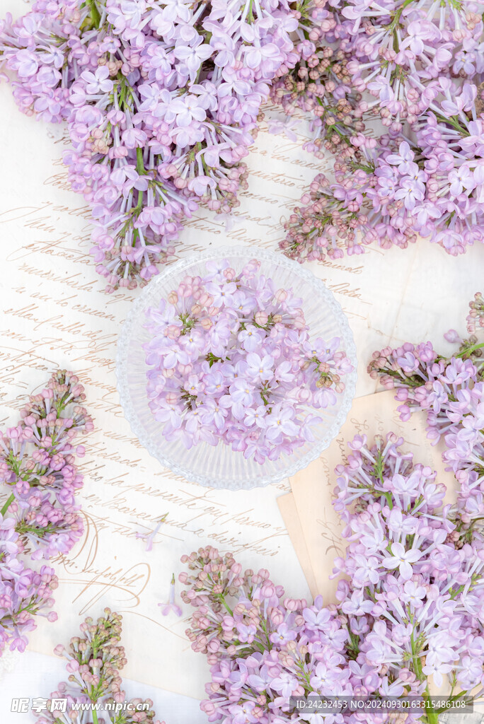 丁香花素材壁纸