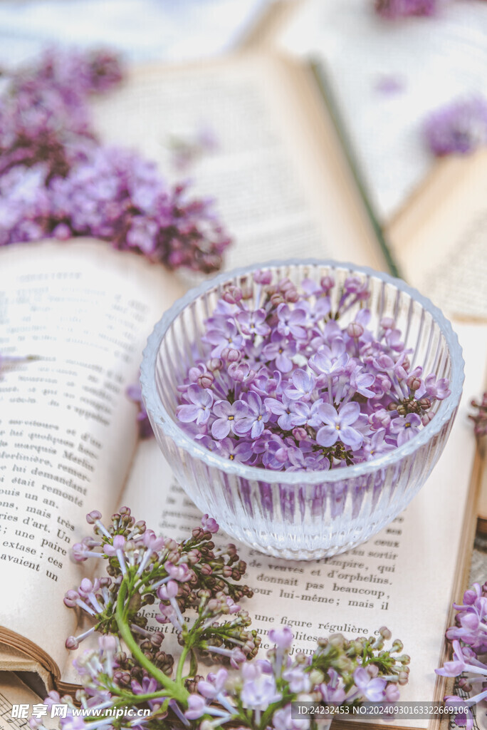 丁香花素材壁纸