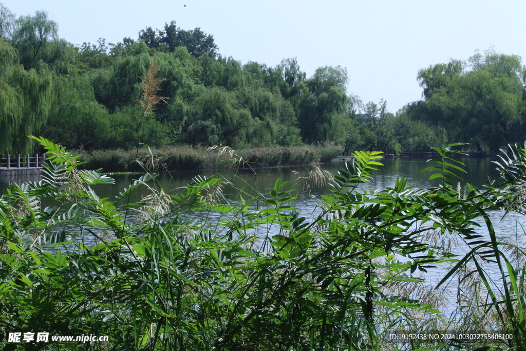 公园风景  