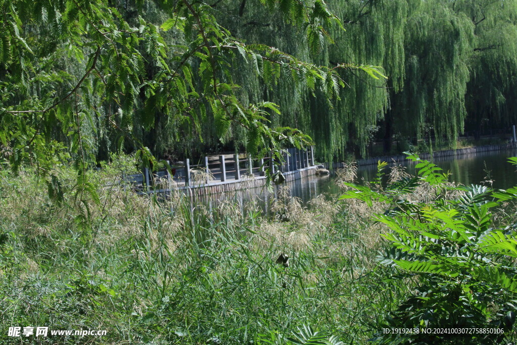 公园风景 