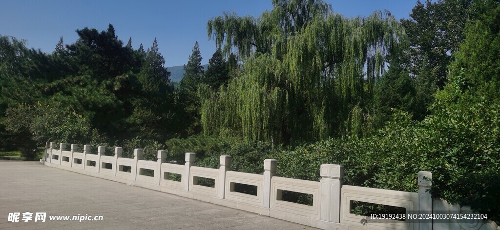 公园风景 