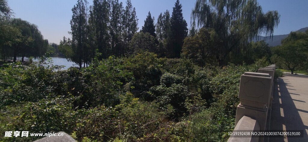 公园风景  
