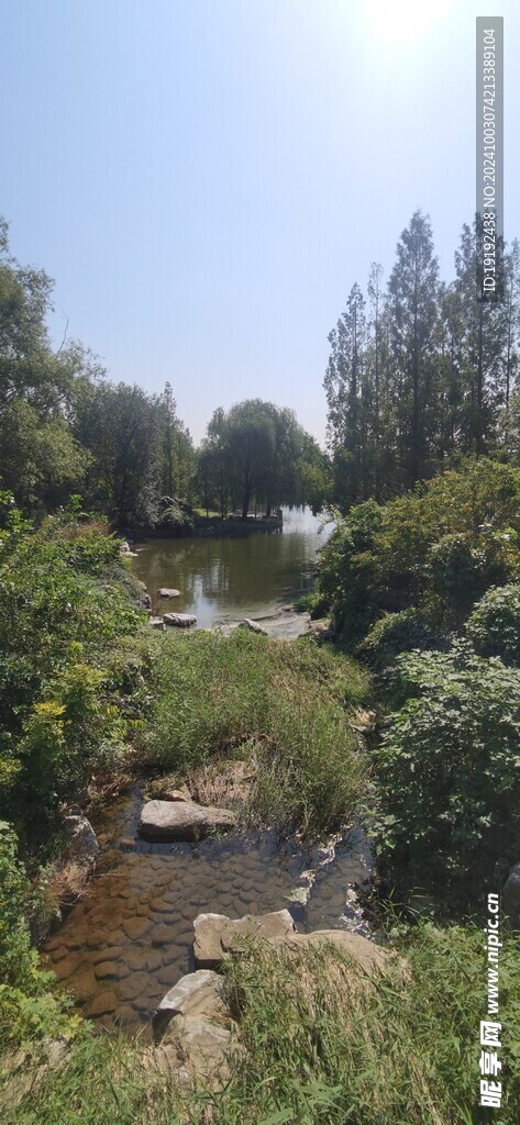 公园风景 