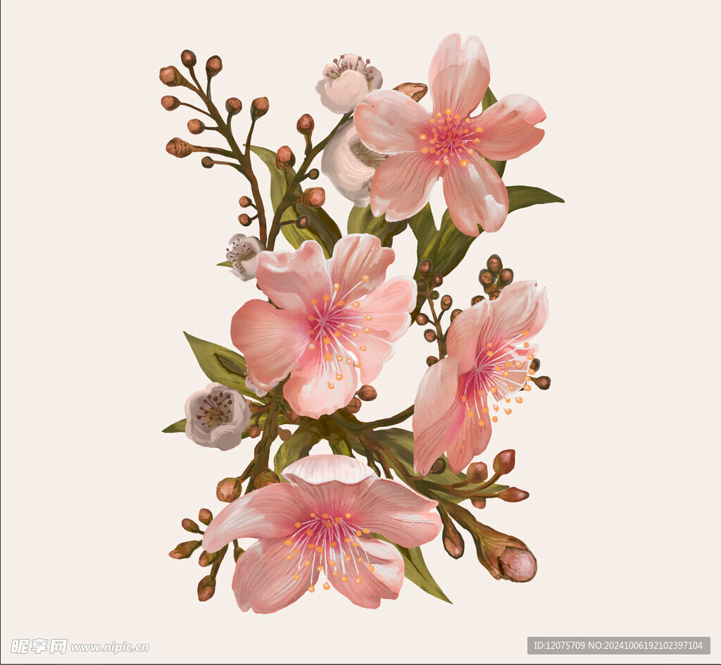 桃花花卉插图矢量素材