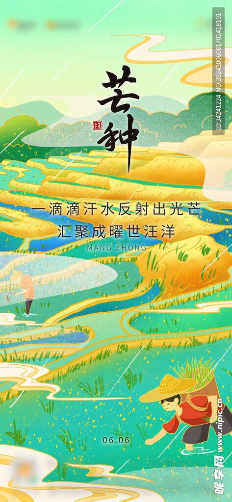 芒种节气宣传海报展板