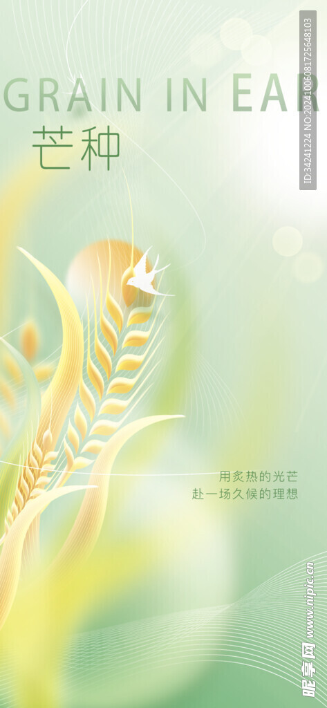 芒种节气宣传海报展板