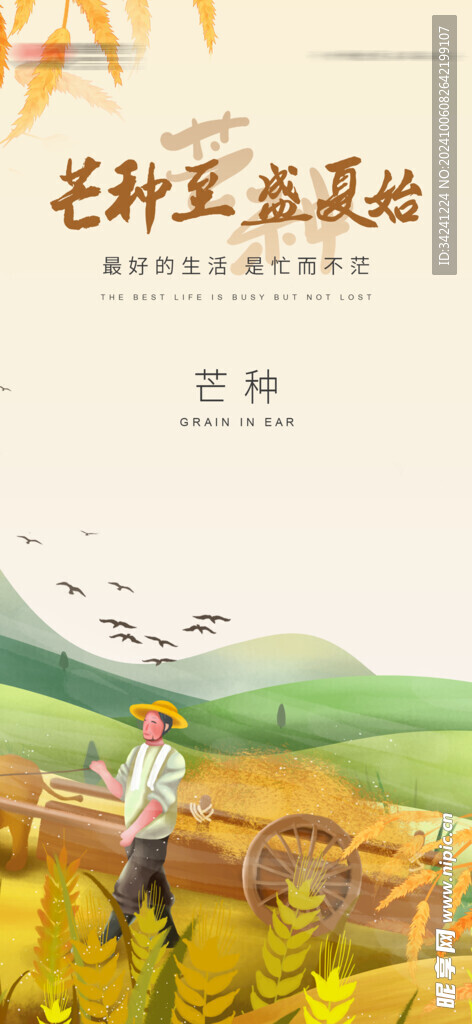 芒种节气宣传海报展板