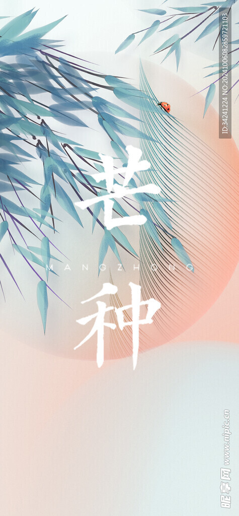 芒种节气宣传海报展板