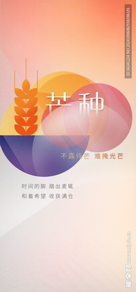 芒种节气宣传海报展板