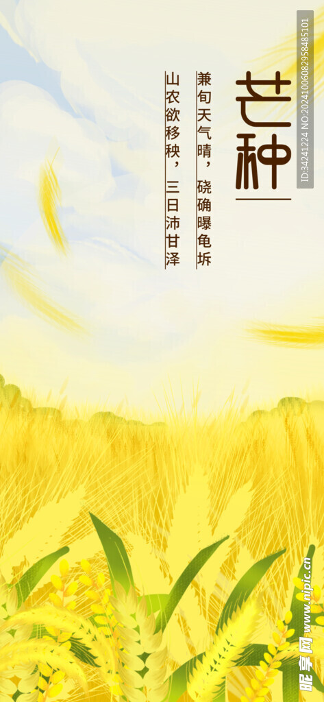 芒种节气宣传海报展板