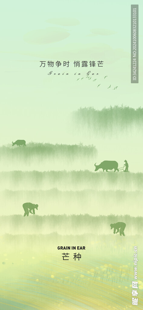 芒种节气宣传海报展板