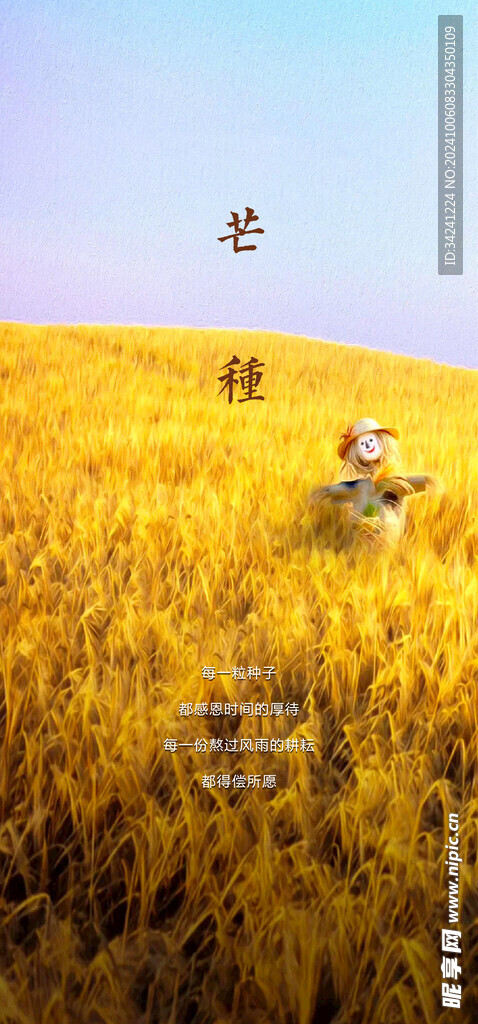 芒种节气宣传海报展板