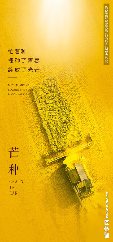 芒种节气宣传海报展板