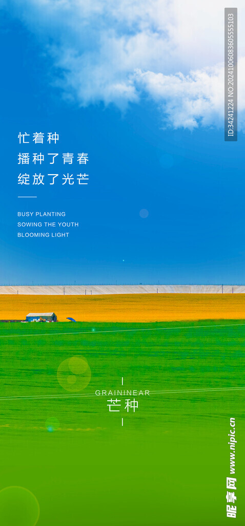 芒种节气宣传海报展板