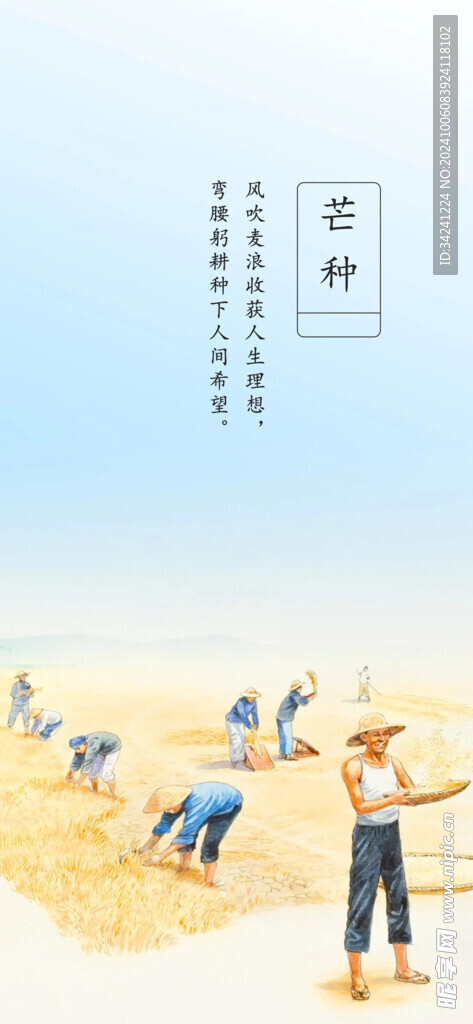 芒种节气宣传海报展板