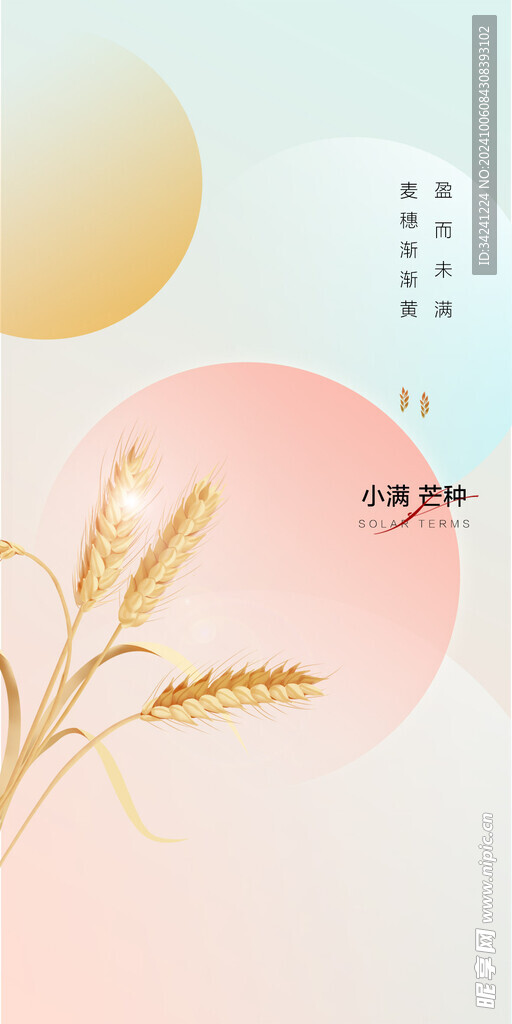 芒种节气宣传海报展板