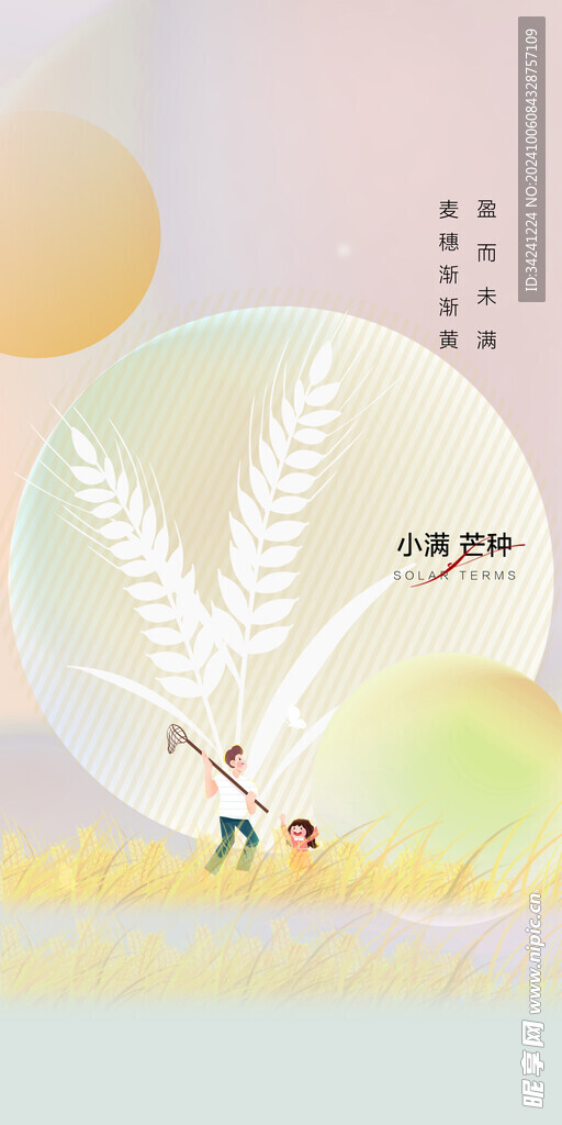 芒种节气宣传海报展板